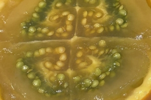 MMM...delicioso Lulo